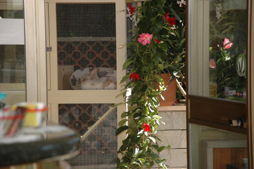 Hotel Ristorante La Terrazza Lido di Camaiore Exteriör bild